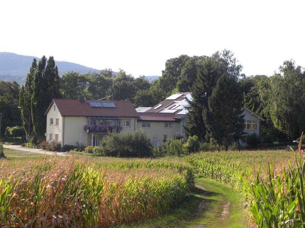 Ferienwohnungen Eichenhof Kapellen-Drusweiler Exterior photo